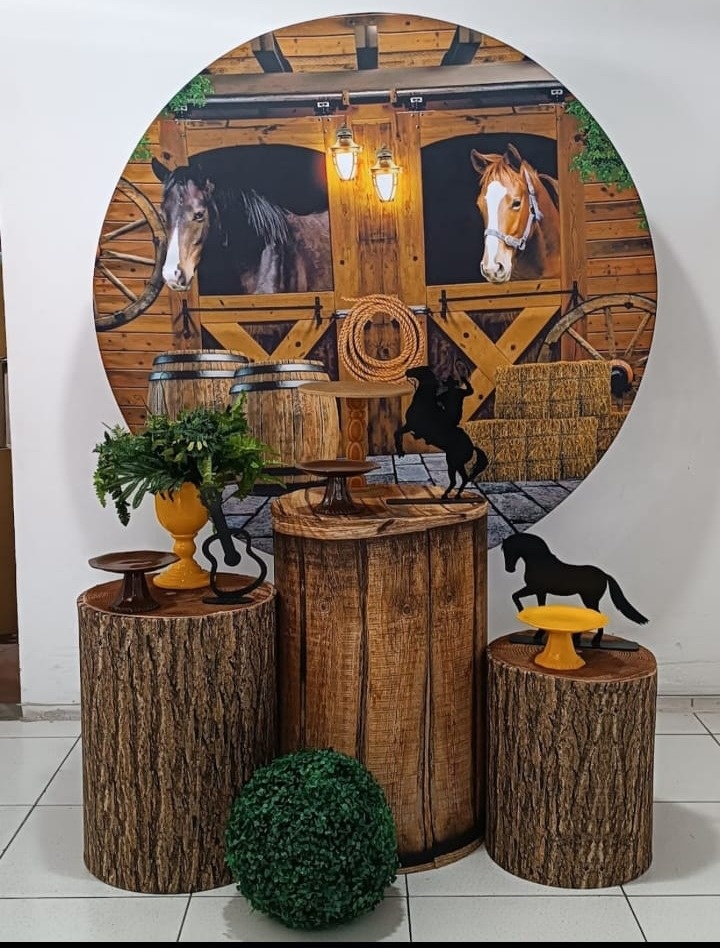 Kit Country Prata - Inspire Festas