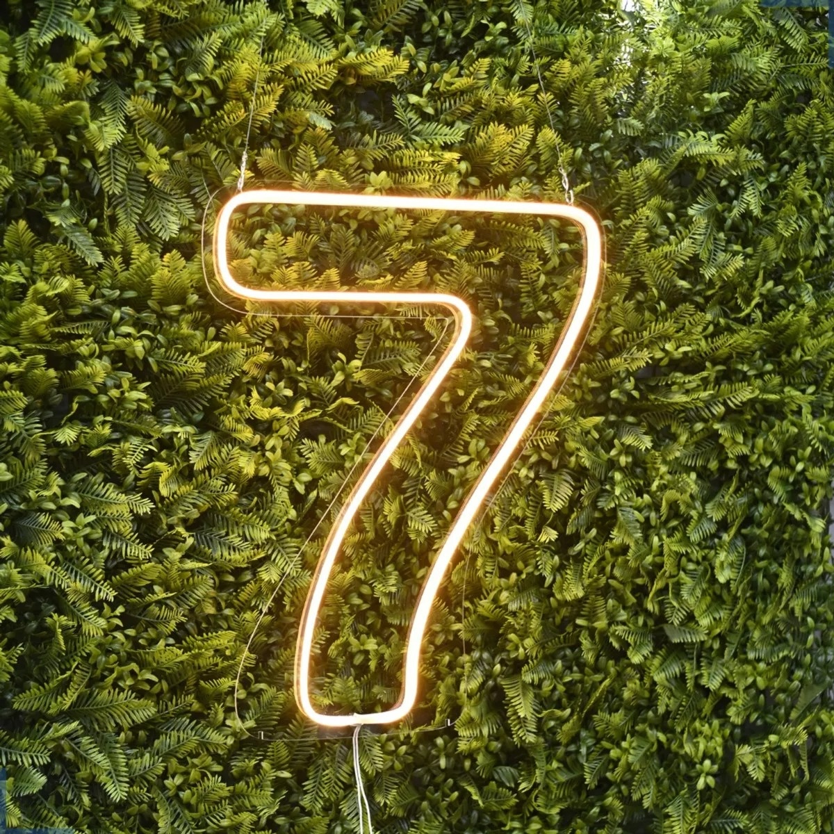 Número "7" Led 50Cm - Felicittà Festas