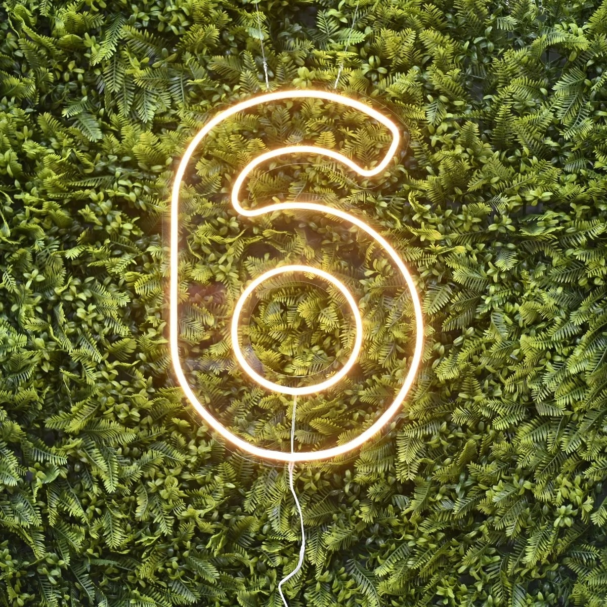 Número "6" de Led 50Cm - Felicittà Festas