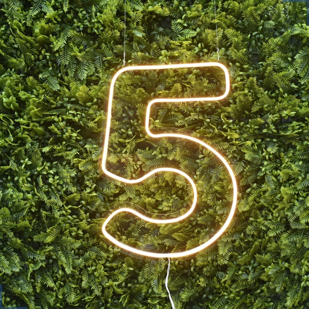 Número "5" de Led 50Cm - Felicittà Festas
