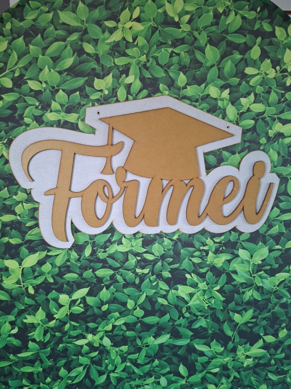 Placa Formei - Graciele de oliveira santos 