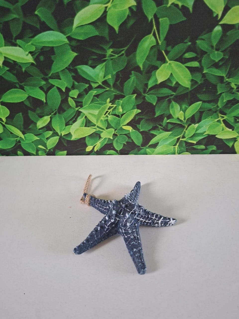 Estrela Mar Azul - Graciele de oliveira santos 