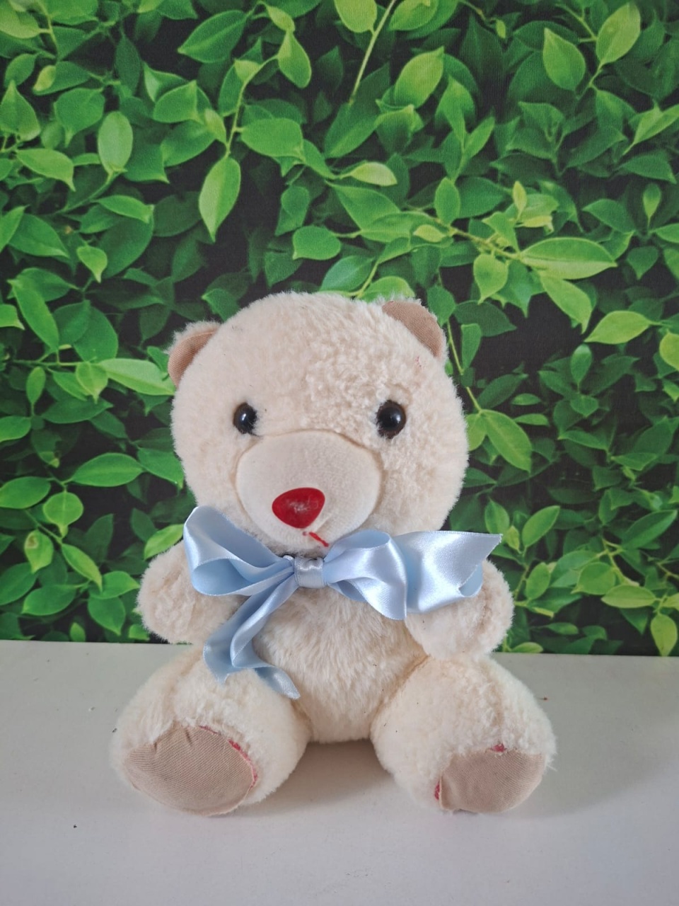 Urso Branco P - Graciele de oliveira santos 