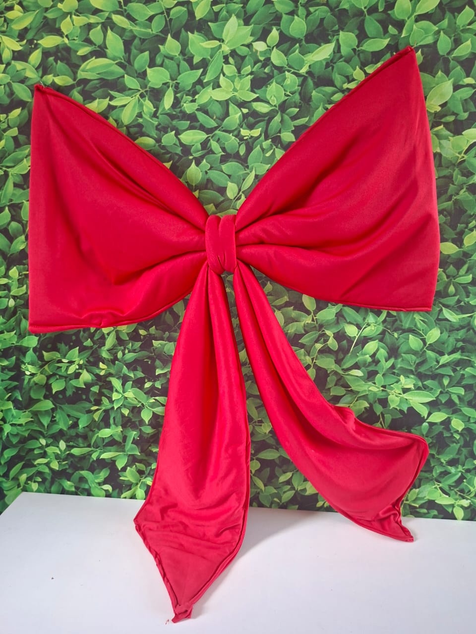 Laço Vermelho - Graciele de oliveira santos 