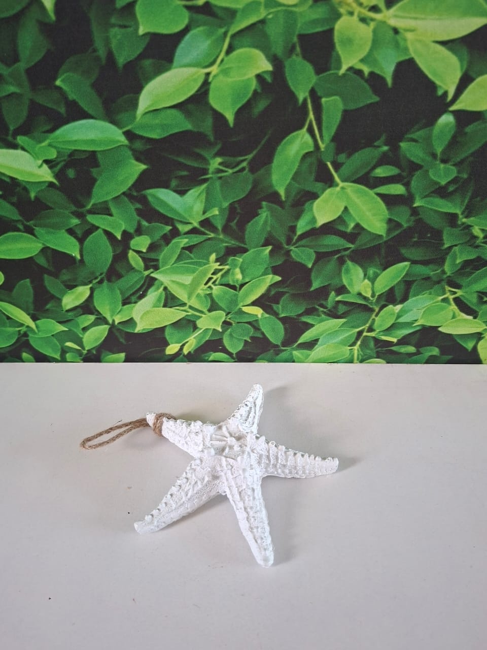 Estrela Do Mar - Graciele de oliveira santos 