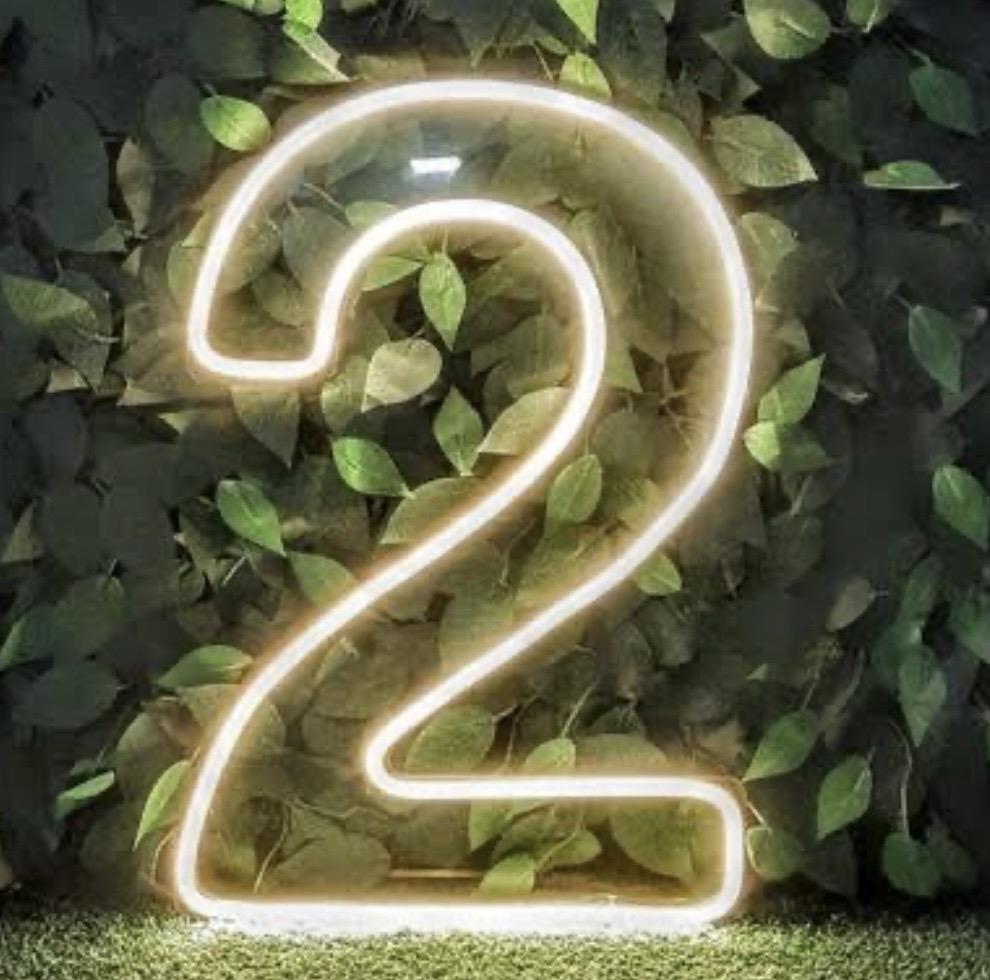 N° de Led 2 - 50 Cm - AZ PEGUE E MONTE