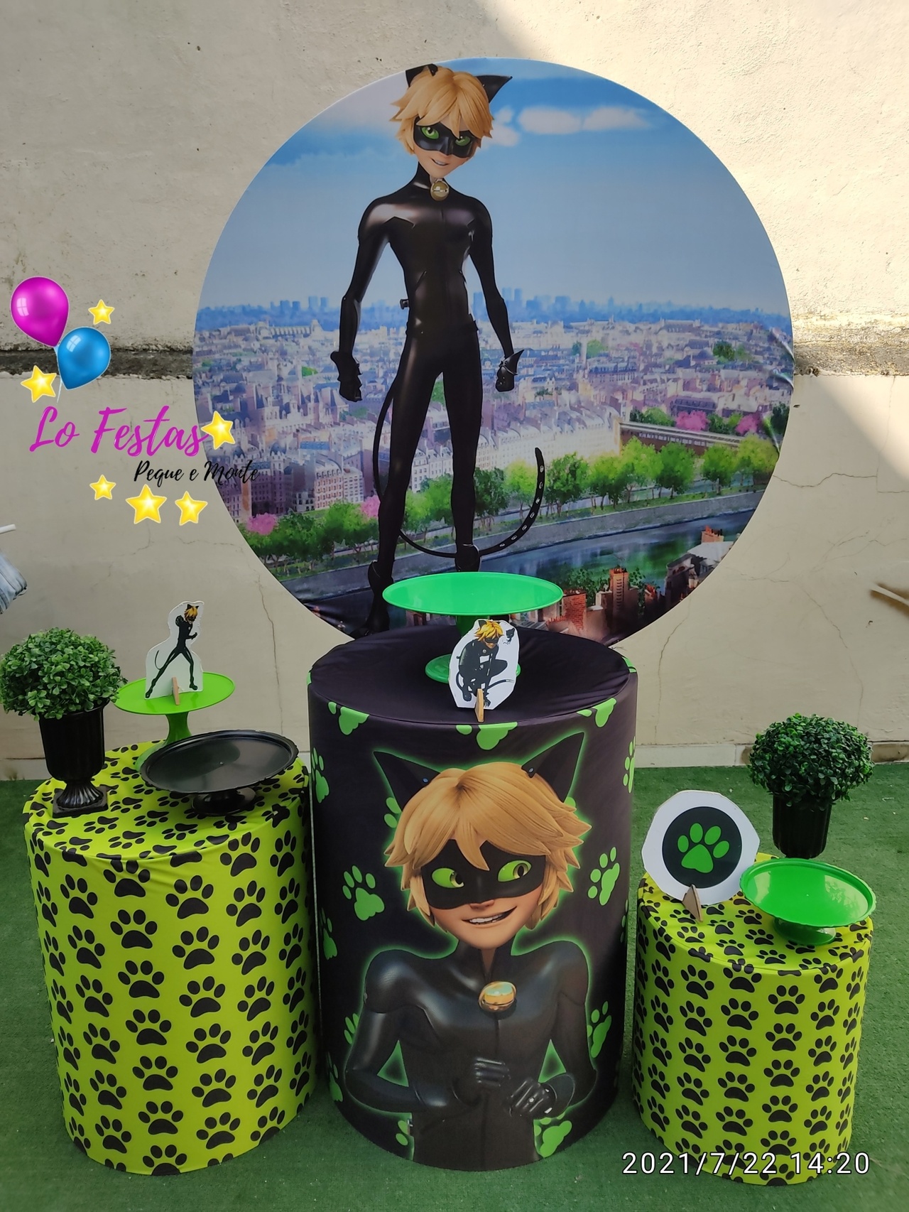 Cat Noir - CARLOS HENRIQUES DE OLIVEIRA CRESPO 52601125