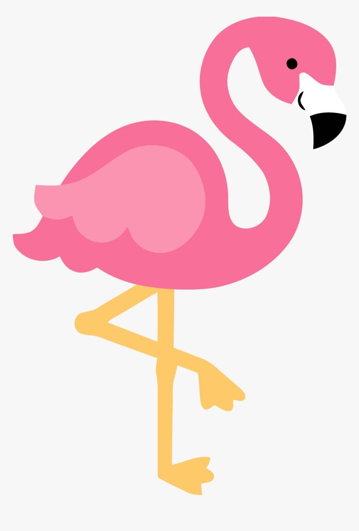 Trio de Capas + Painel Tematicos Flamingo - CARLOS HENRIQUES DE OLIVEIRA CRESPO 52601125