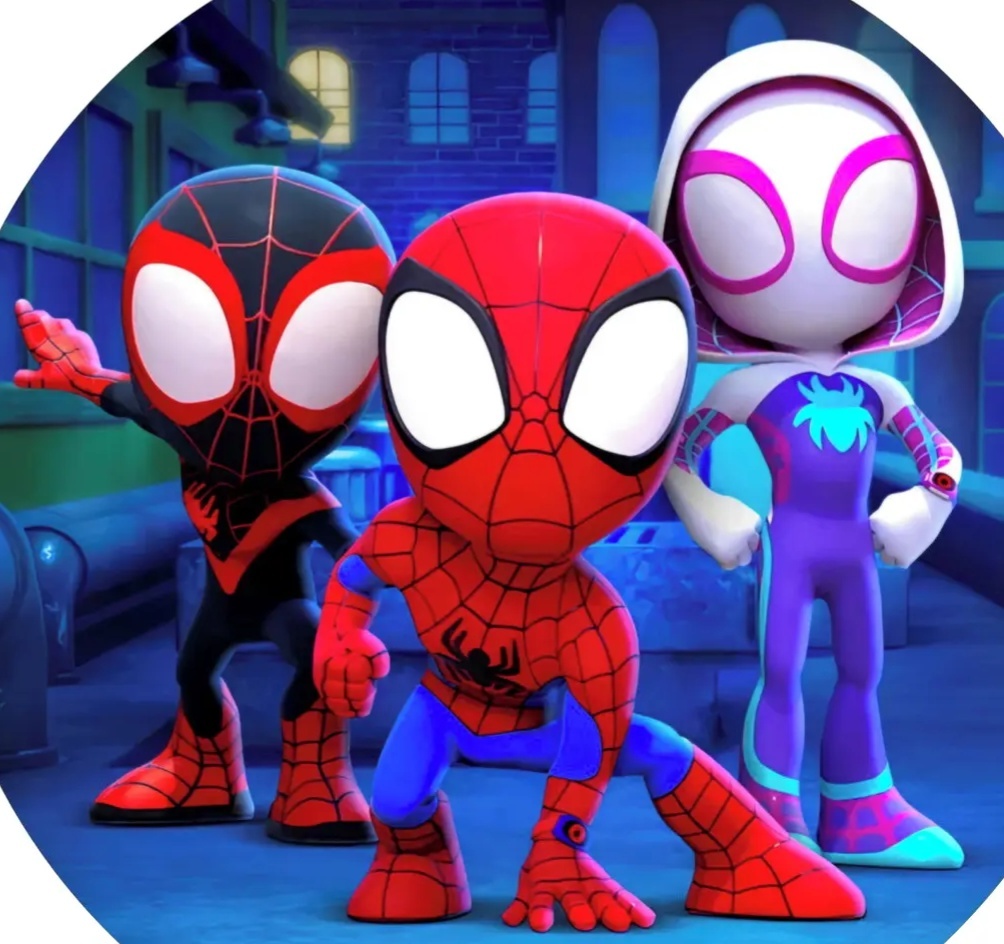 Trio de Capas + Painel Tematicos Spider E Seus Amigos Slim - CARLOS HENRIQUES DE OLIVEIRA CRESPO 52601125