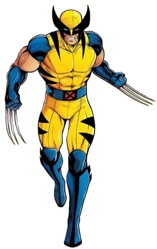 Trio de Capas + Painel Tematicos Wolverine Slim - CARLOS HENRIQUES DE OLIVEIRA CRESPO 52601125
