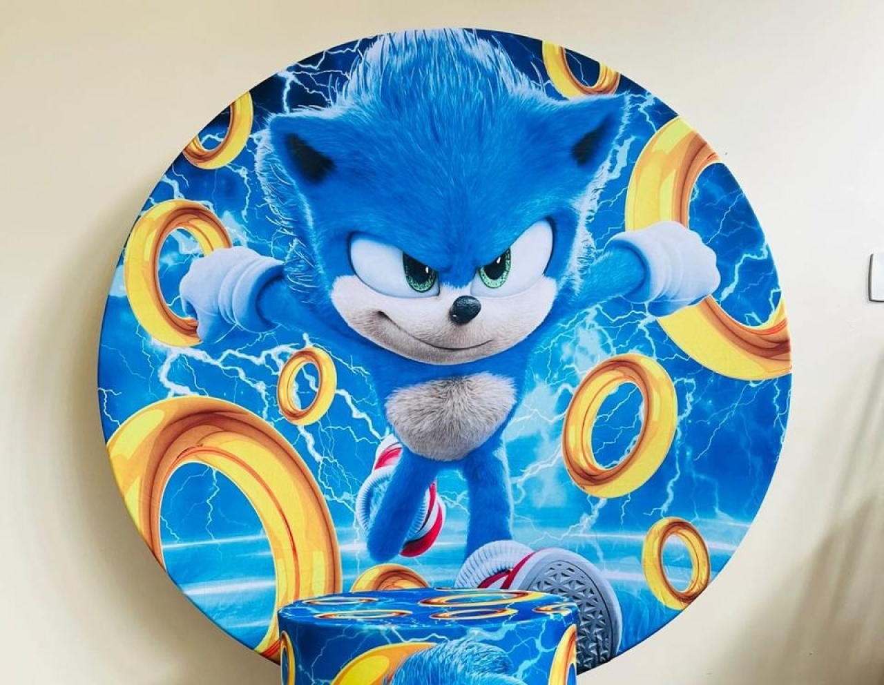 Capa Sublimada Painel Sonic Azul (1,50M) - Selminha Lokfest