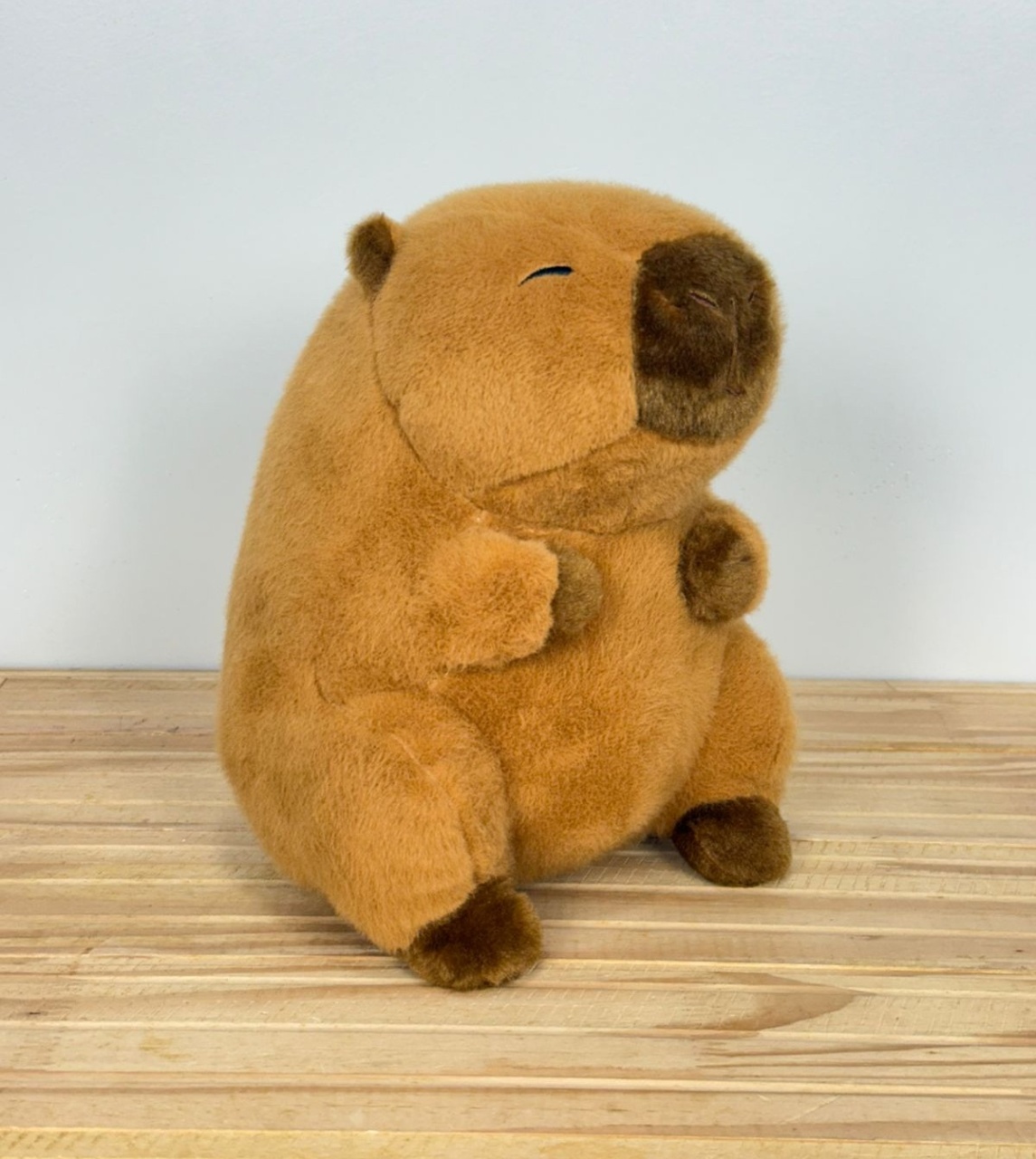 Capivara Pelúcia (25Cm) - Selminha Lokfest