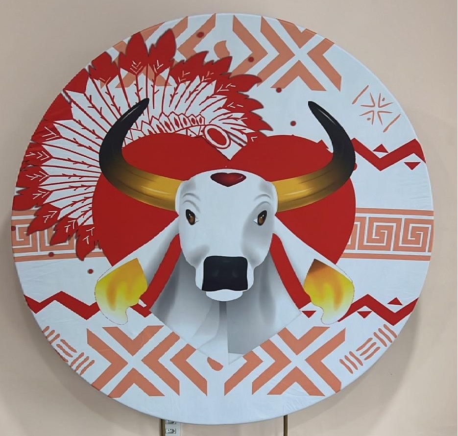 Capa Sublimada Painel Boi Garantido (1,50M) - Selminha Lokfest