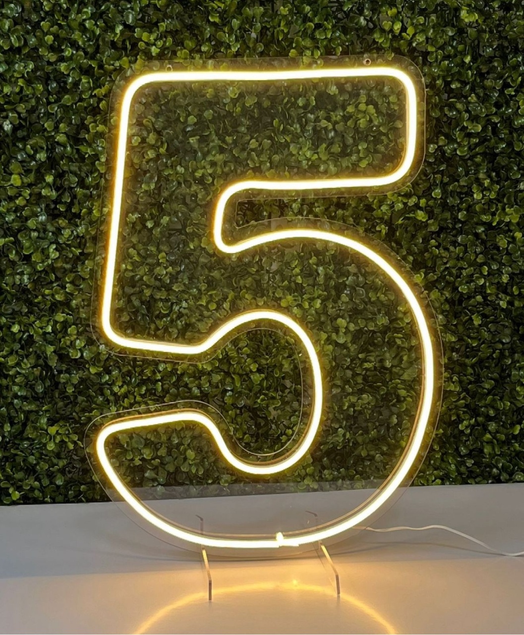 Numero 5 Em Led Acrílico Branco Quente (50Cm) - Selminha Lokfest