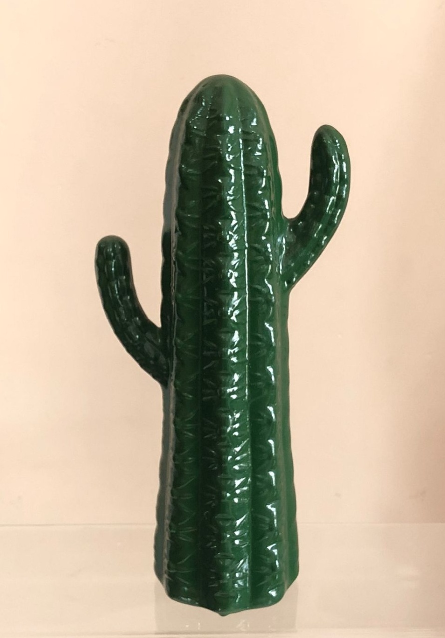 Cacto Cêramica (22Cm) - Selminha Lokfest
