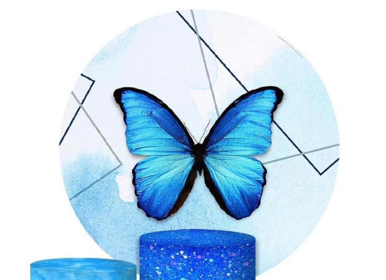 Capa Sublimada Painel Borboleta Azul (1,50M) - Selminha Lokfest