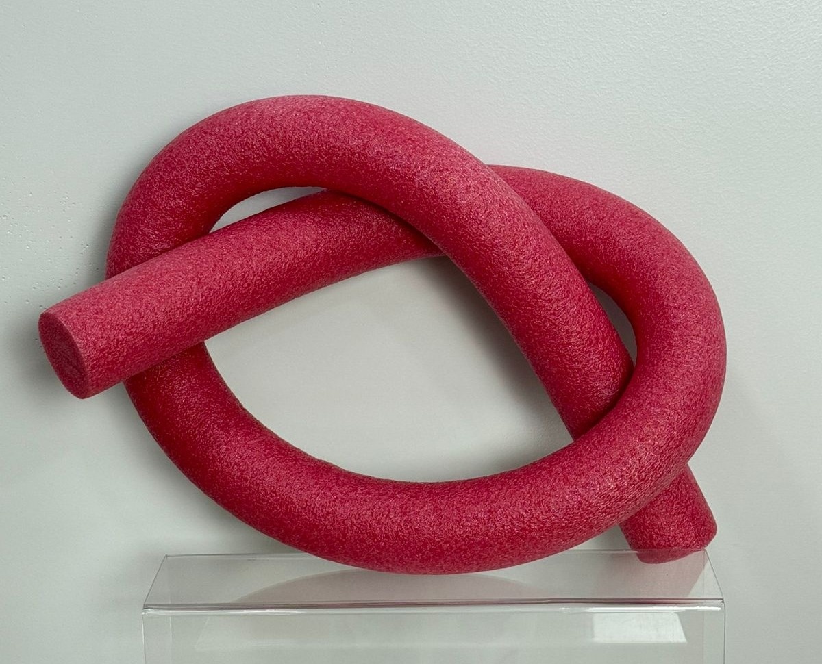 Boia Macarrão Piscina Vermelho - Selminha Lokfest