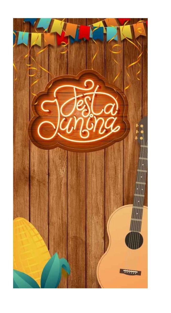 Painel Sublimado Lateral Festa Junina (Tam 2X1) - Selminha Lokfest