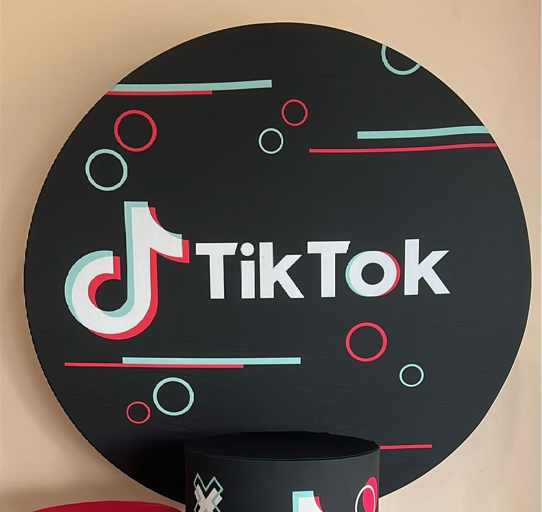 Capa Sublimada Painel Tik Tok (1,50M) - Selminha Lokfest