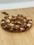 Cobra de Pelúcia Grande Realista Píton Anaconda Snake - imagem 2
