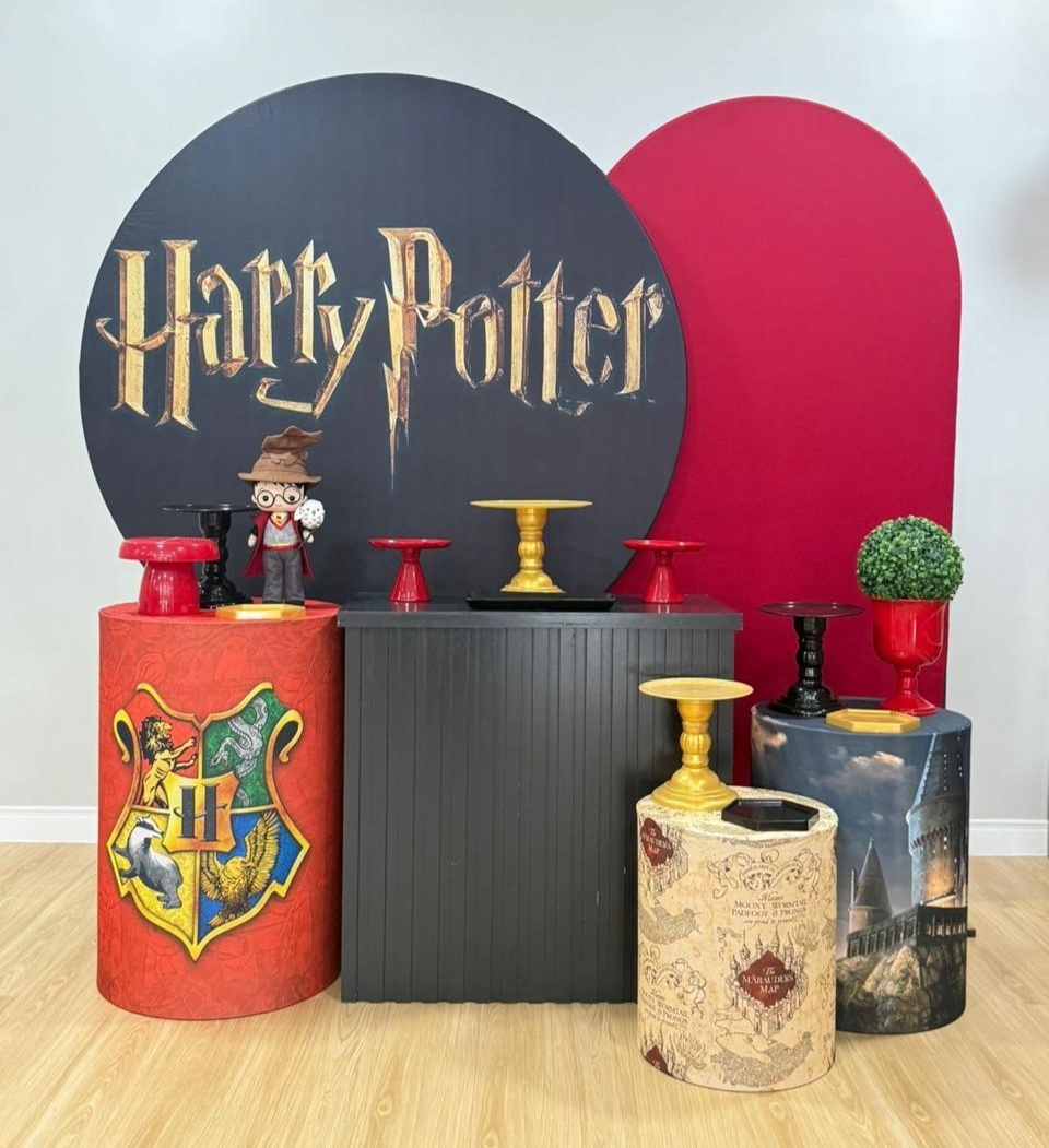 Kit Festa Show Harry Potter - Selminha Lokfest