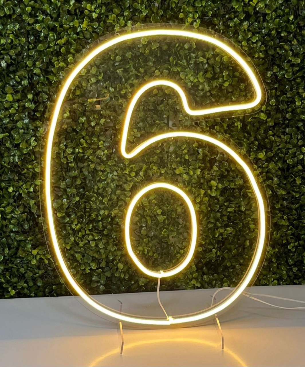 Numero 6 Em Led Acrílico Branco Quente (50Cm) - Selminha Lokfest