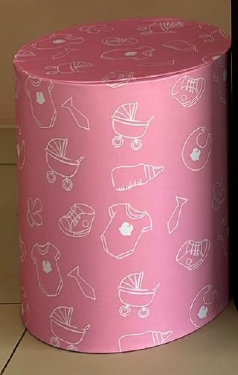 Capa Sublimada Cilindro Pequeno Poderosa Chefinha - Selminha Lokfest