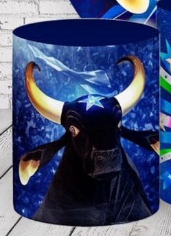 Capa Sublimada Cilindro Médio Boi Caprichoso - Selminha Lokfest