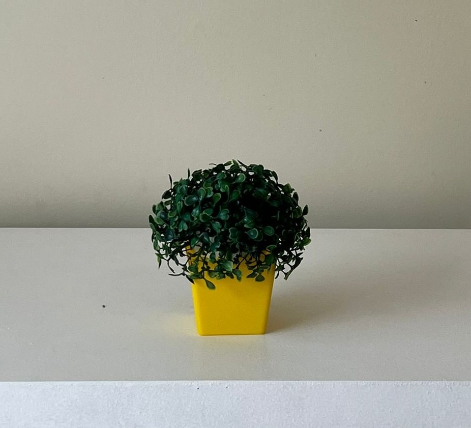 Vaso P Amarelo - Andréa Marques Pegue e Monte