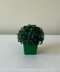 Vaso P Verde - imagem 2