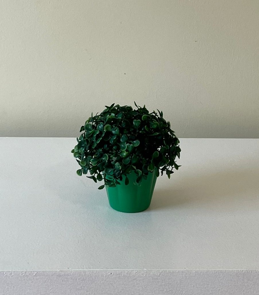 Vaso P Verde - Andréa Marques Pegue e Monte
