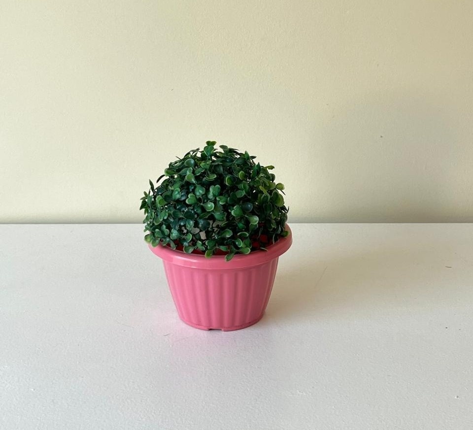 Vaso M Rosa Bebe C/ Buxinho - Andréa Marques Pegue e Monte