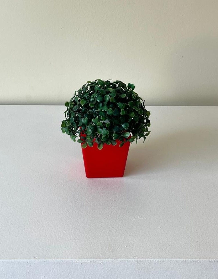 Vaso P Vermelho C/ Buxinho - Andréa Marques Pegue e Monte