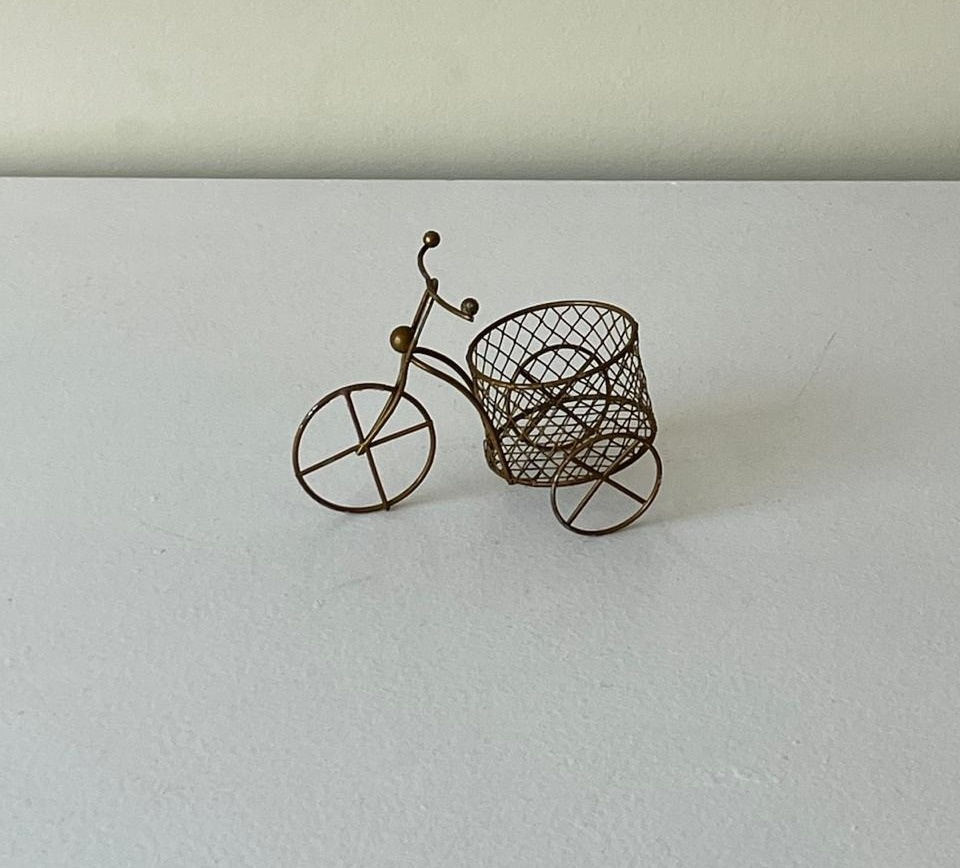 Mine Bicicleta - Andréa Marques Pegue e Monte