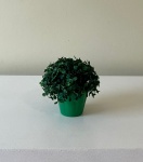 Vaso P Verde - imagem 1