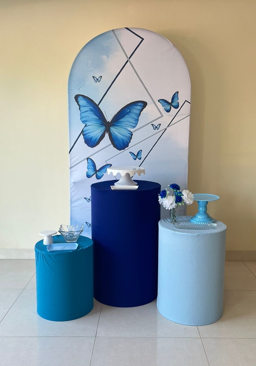 Kit Romano Borboleta Azul - Andréa Marques Pegue e Monte