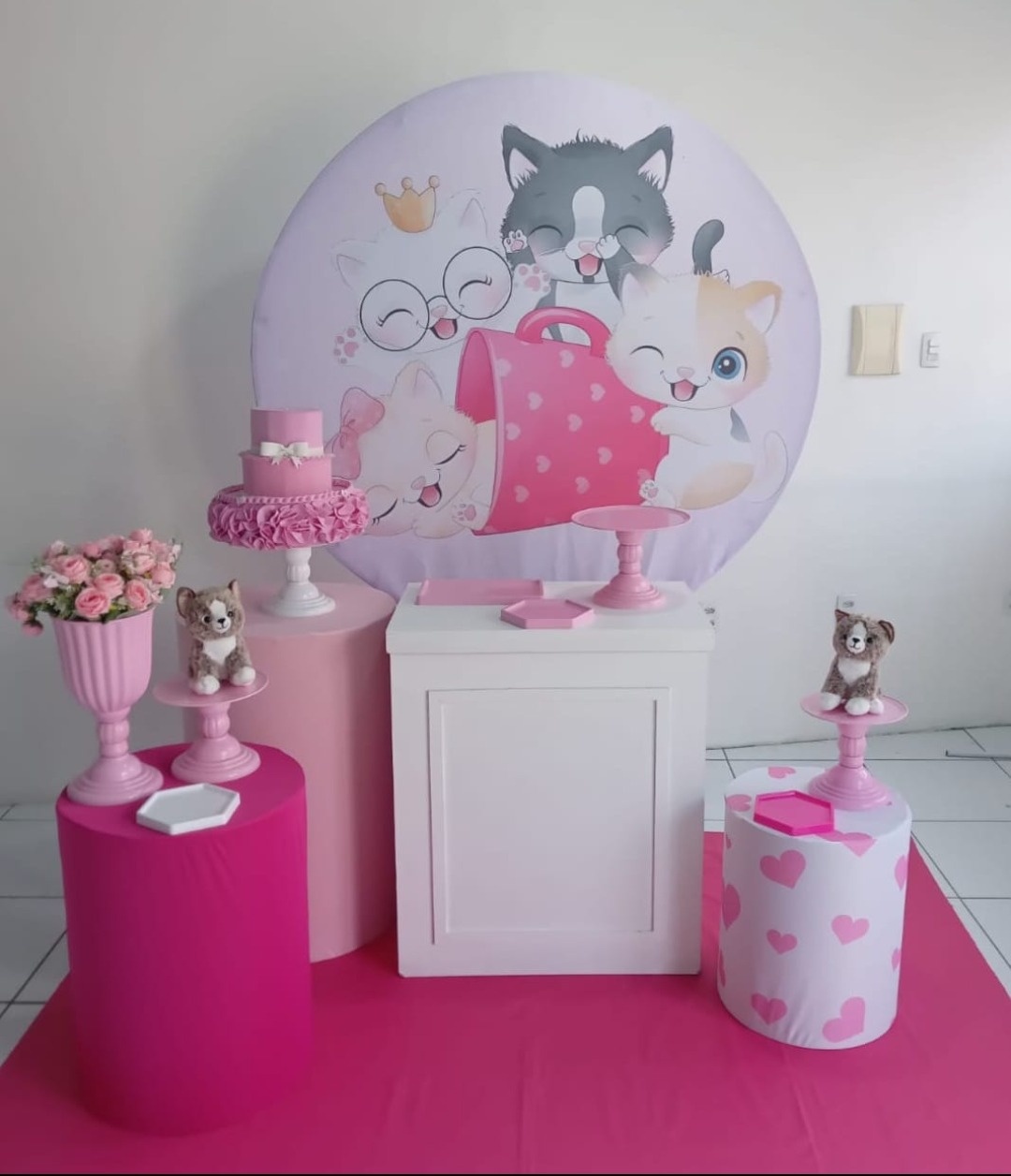 Gatinha 1 - Cia da Festa