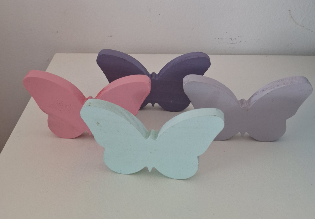 Mini Borboleta  Color - SonikaDecoracaohttps://wa.me/message/Q2BS5PB4ZSIYH1
