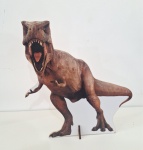 Display Dinossauro Chão - imagem 1