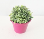 Mini Vaso - imagem 1