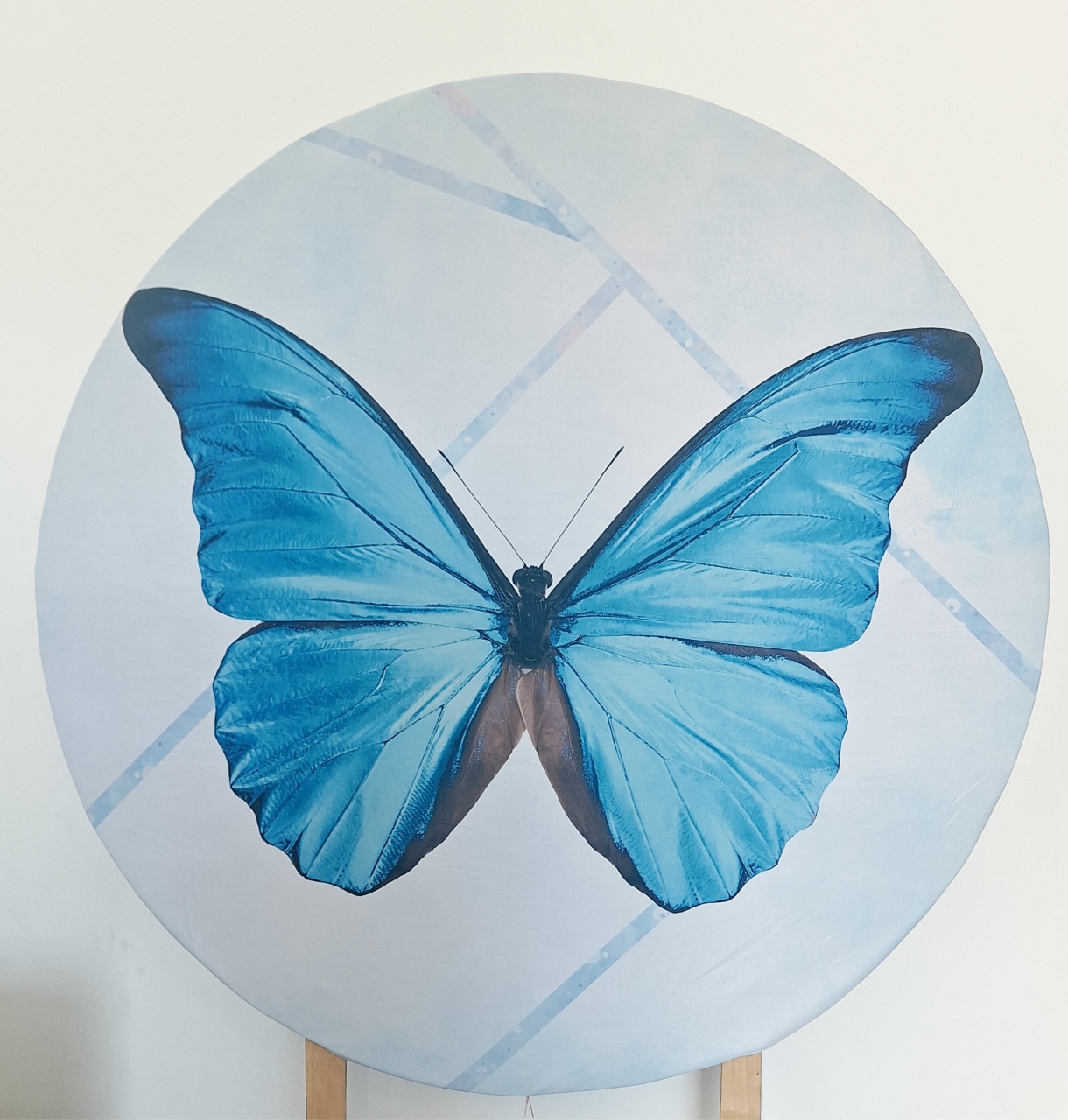 Painel Borboleta Azul - SonikaDecoracaohttps://wa.me/message/Q2BS5PB4ZSIYH1