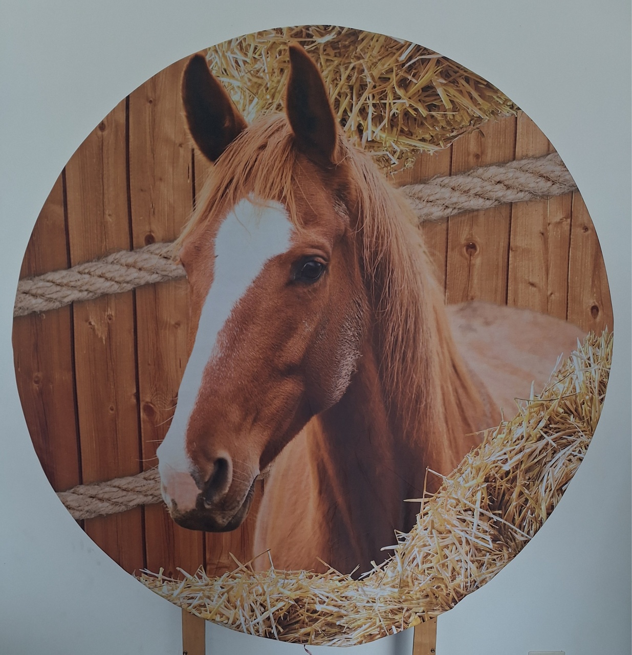 Painel Cavalo - SonikaDecoracaohttps://wa.me/message/Q2BS5PB4ZSIYH1