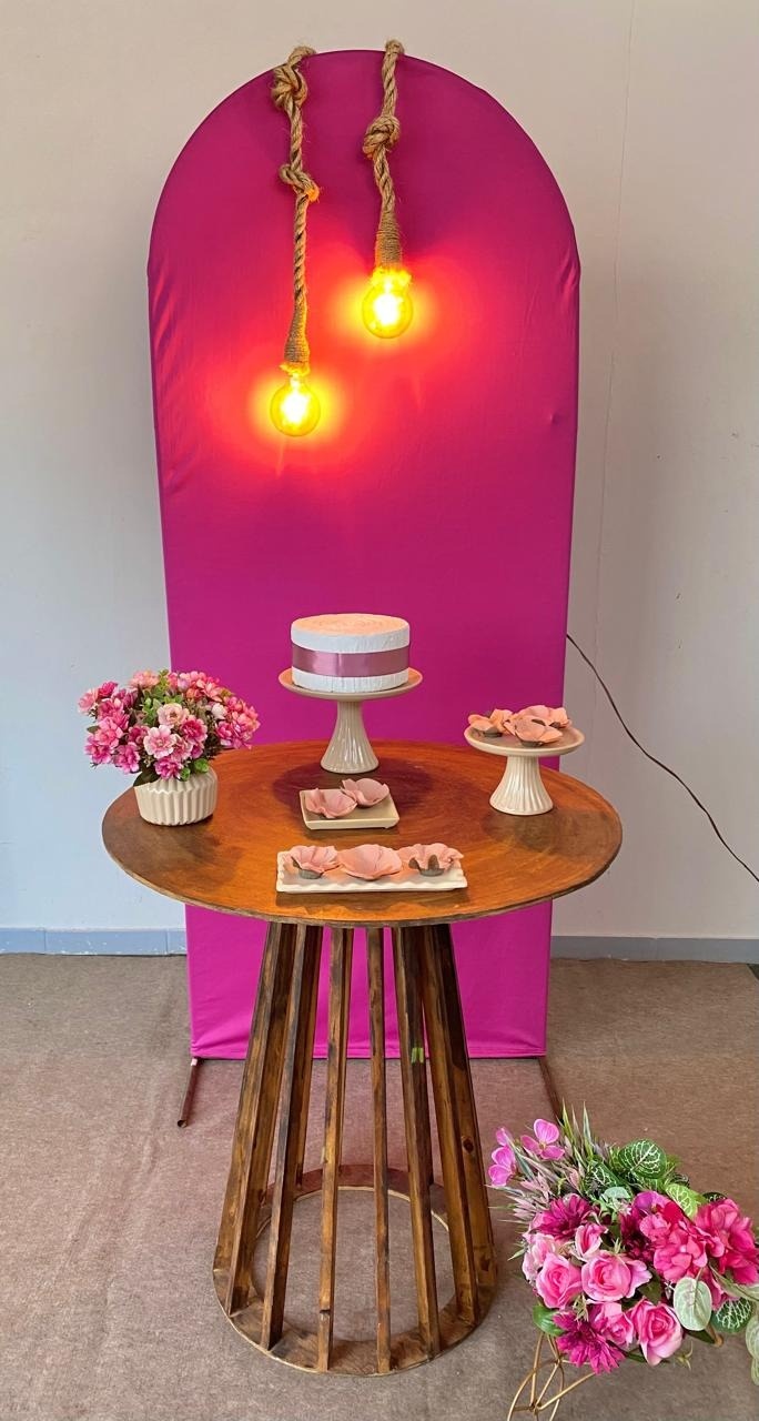Kit Adulto Encanto/ Painel Romano Pink Com Luminaria  - Loja Lepetit Locação