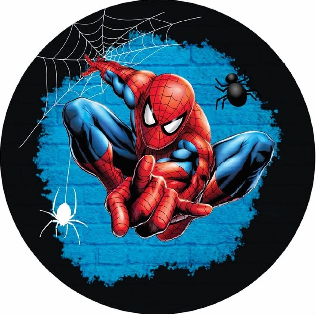 Painel Homem Aranha 50Cm - P2DOCESEFESTAS