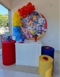 Painel Patrulha Canina - imagem 2