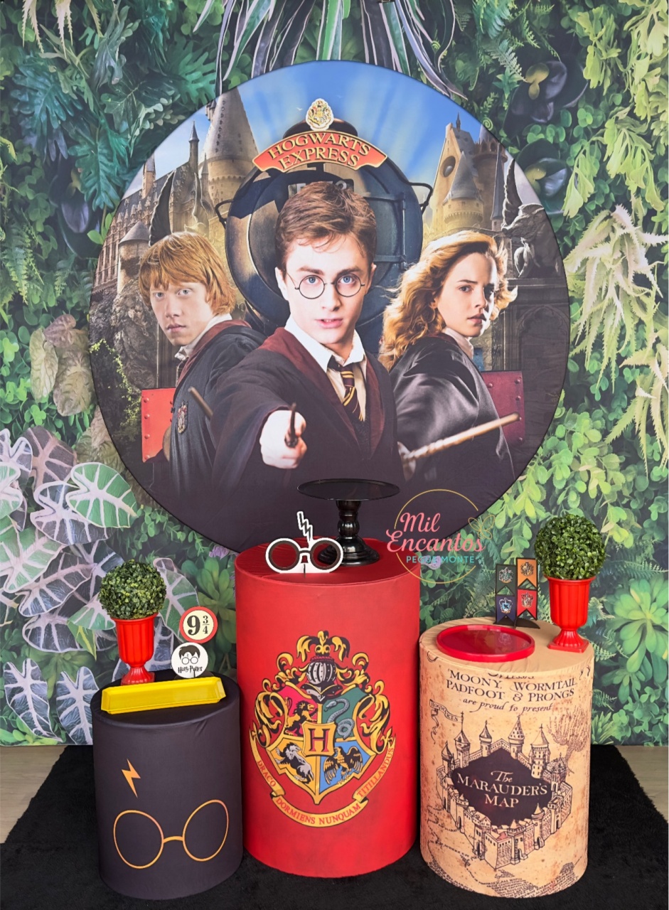 Harry Potter - Kit Padrão - Mil Encantos pegue e monte