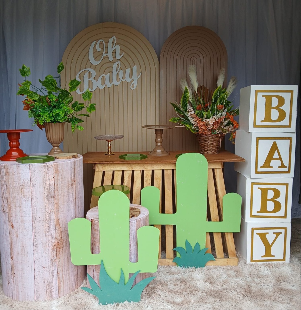 Kit Cactos  + Baby - Nicolle milde