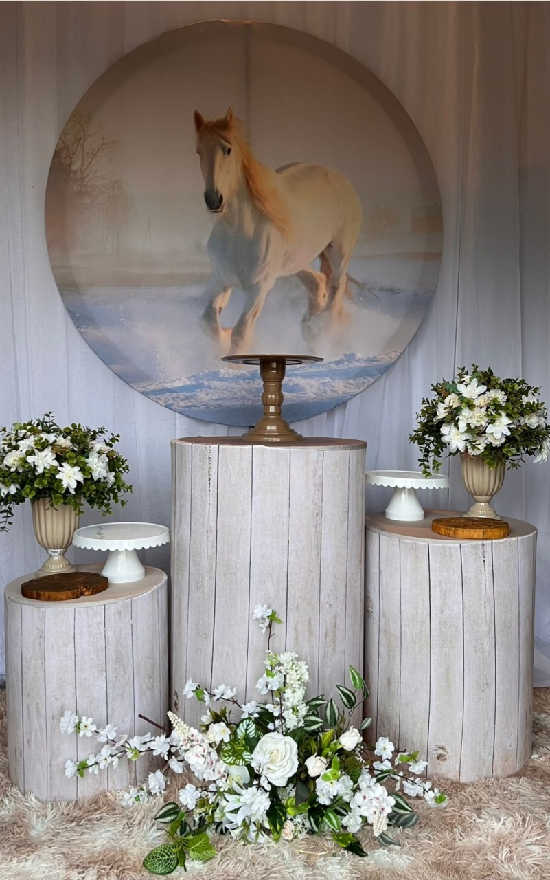 Kit Cavalo Branco + Mini Branca (Cópia 1) - Nicolle milde