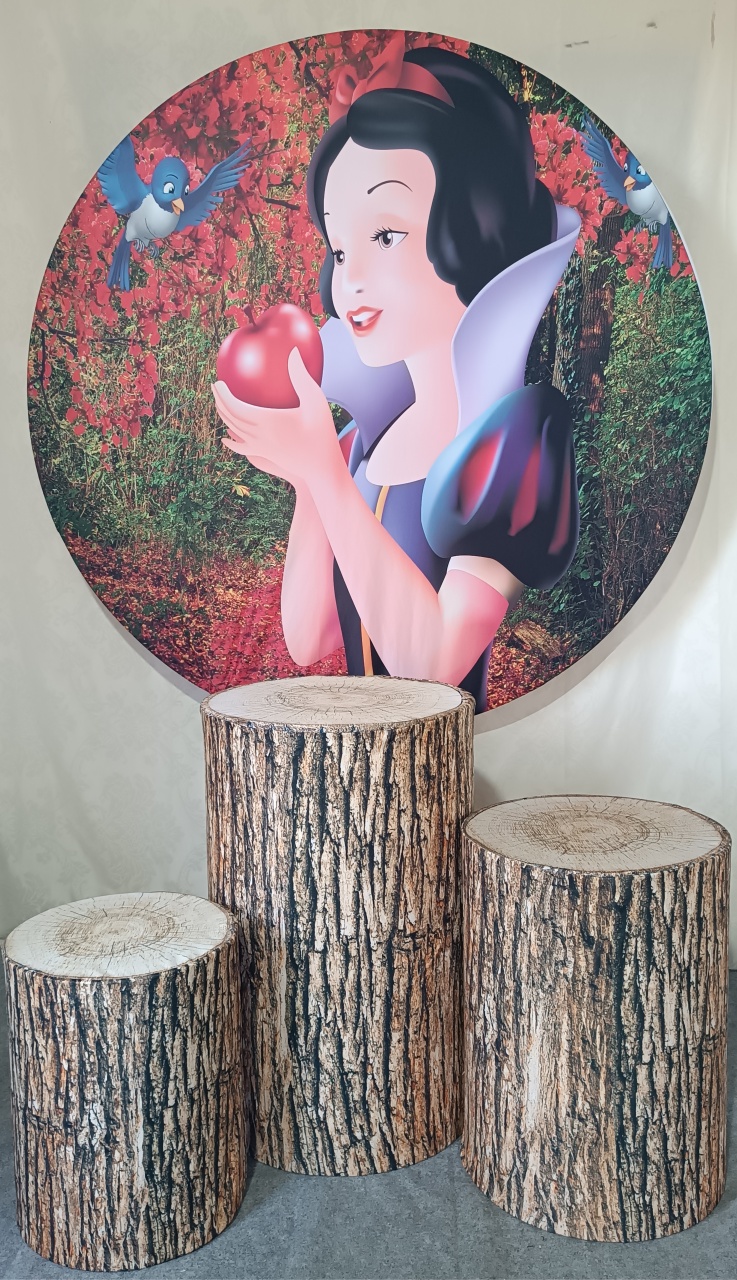 Kit Branca Neve (01) - FERNANDO FESTAS E EVENTOS
