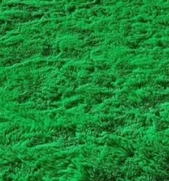 Tapete Peludo Verde Bandeira 2 X 1,50 M - Cassia Decore e Celebre